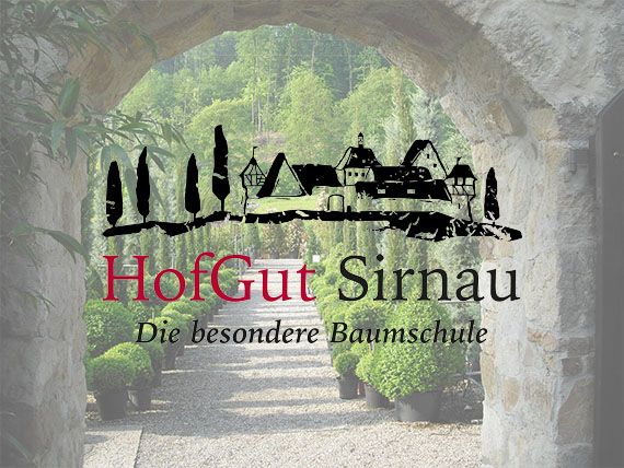 Mitwachsende gesucht
